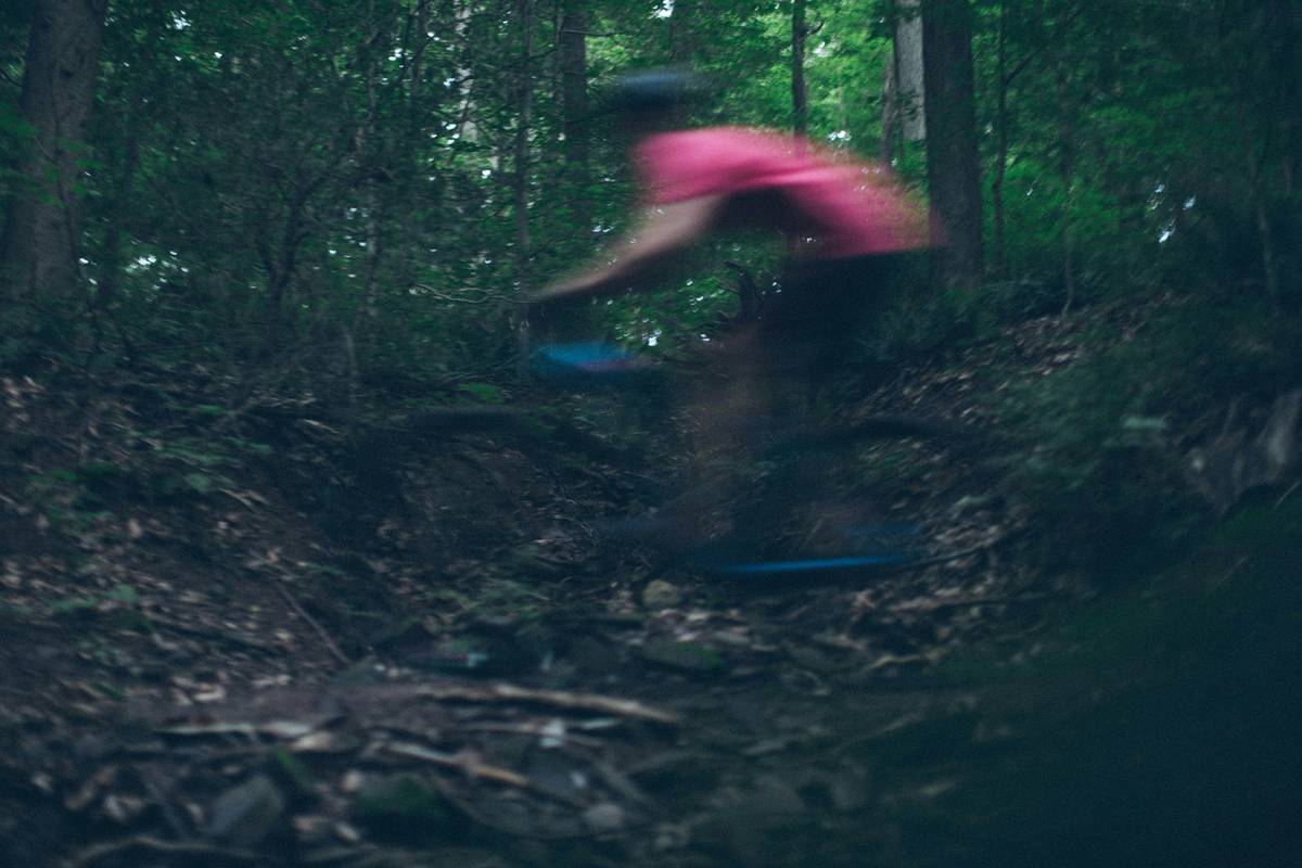 A picturesque winding trail surrounded by trees and sunlight filtering through leaves.