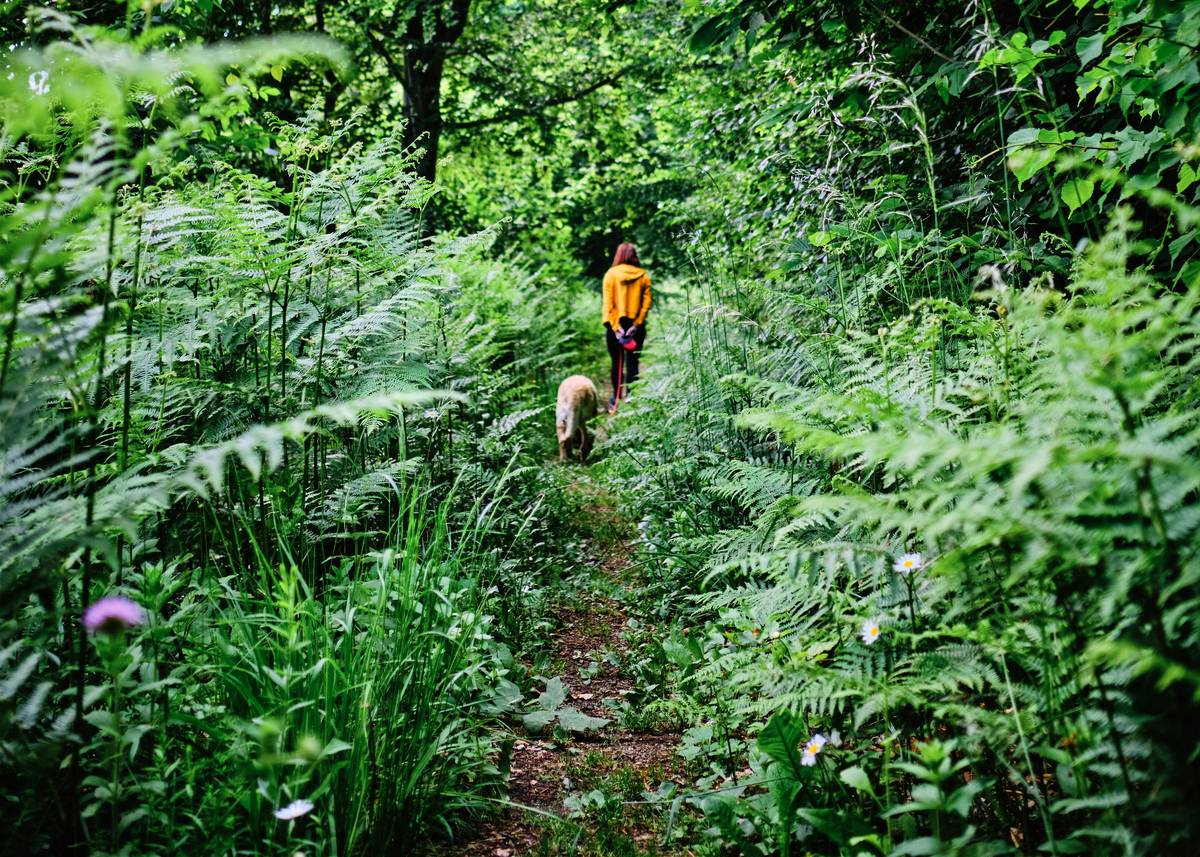 A smiling hiker standing atop a hill with arms raised in victory