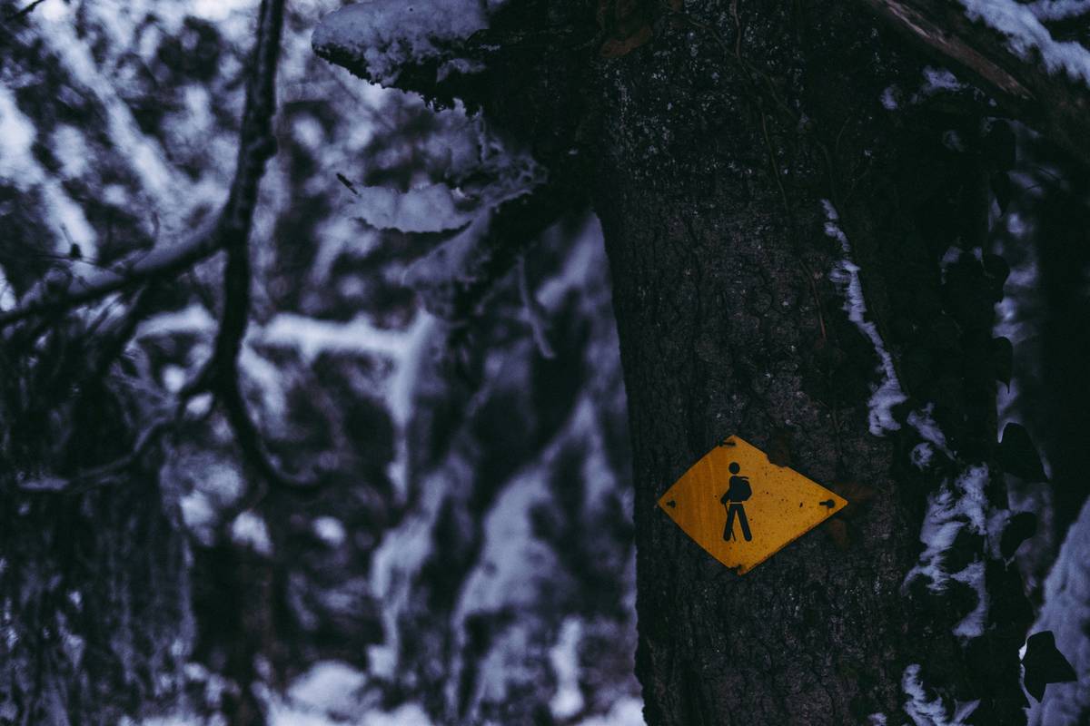 Hiker drinking water from a bottle mid-trail