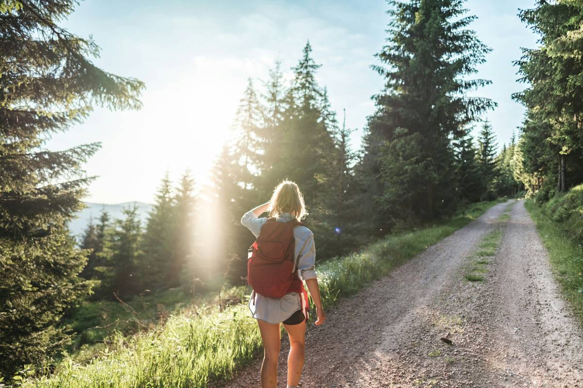 Hiker navigating steep trail surrounded by trees