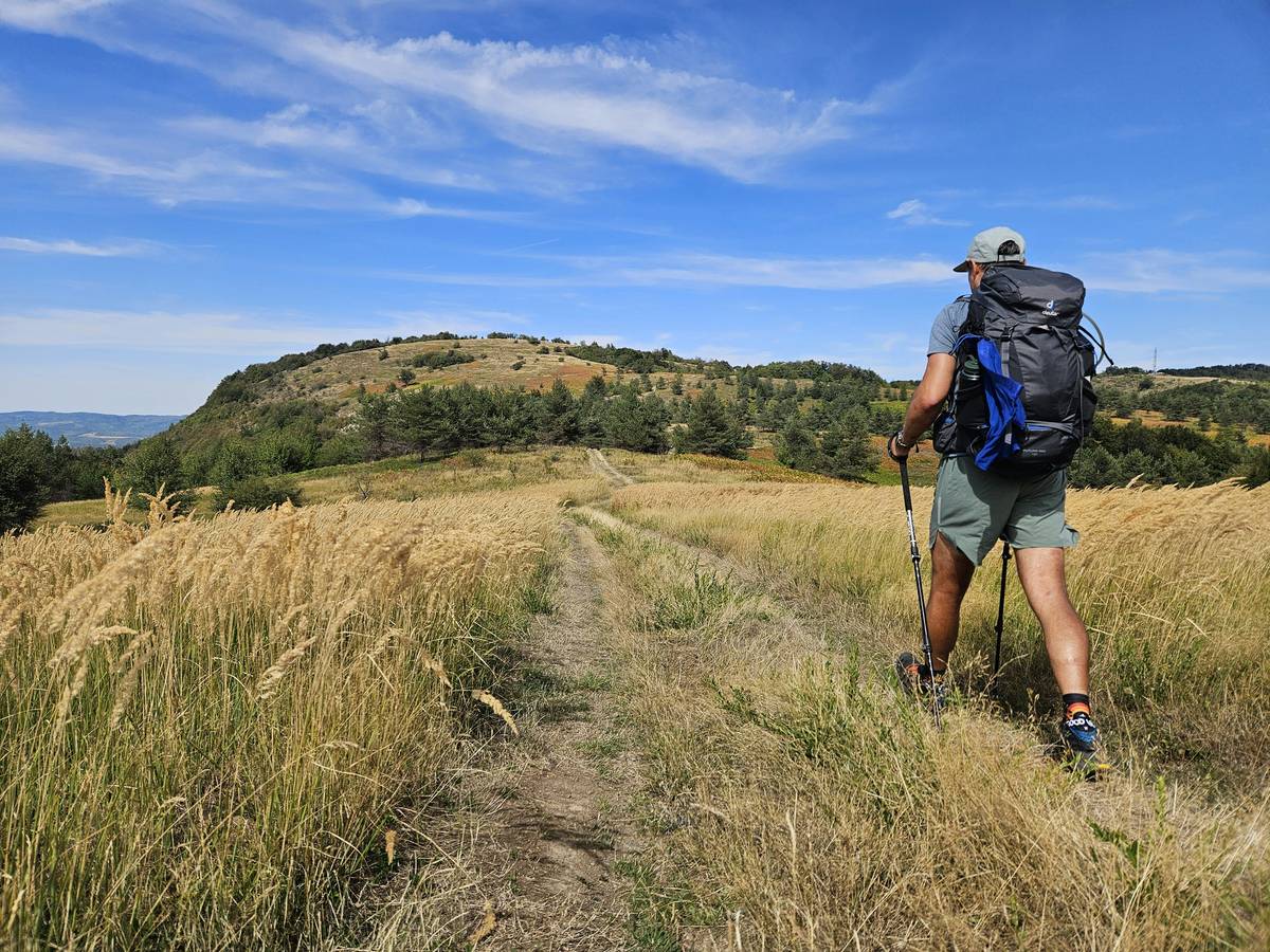 Illustration showing benefits of hiking including calorie burn and mental wellness