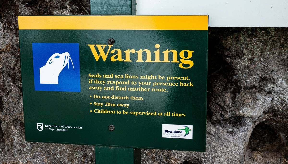 Infographic showing common hiking injuries in 2024