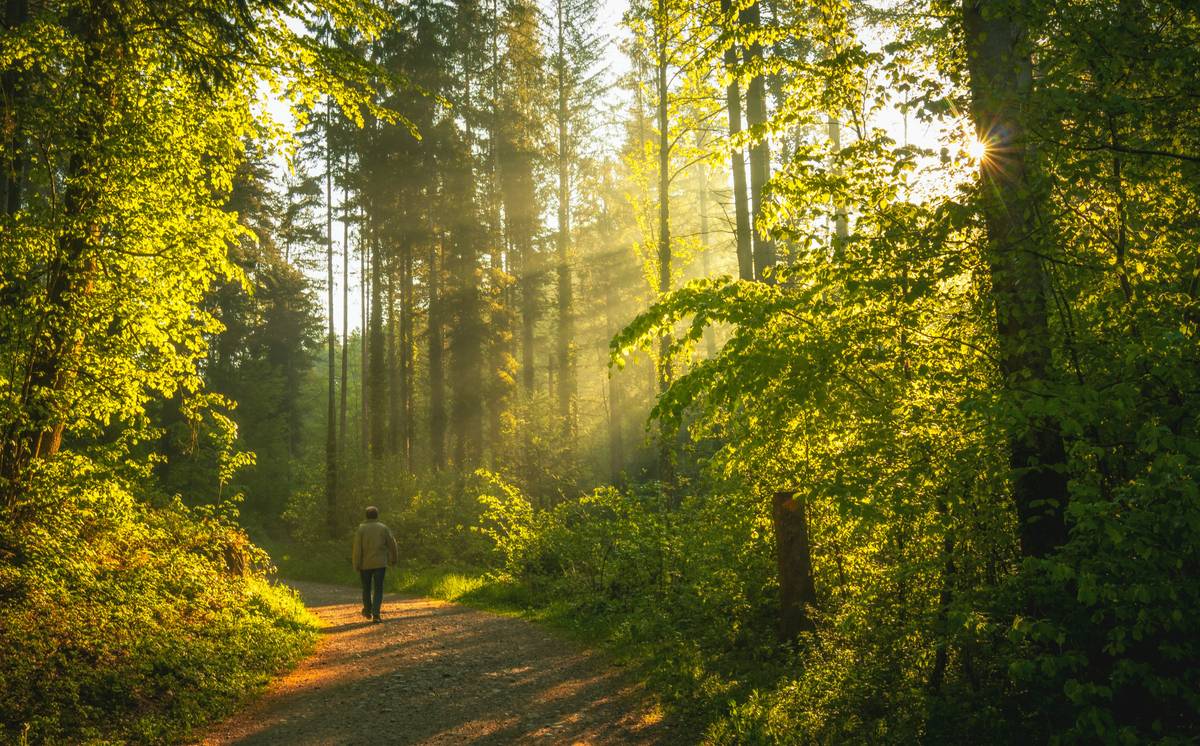 Outdoor Burn Success Metrics: How Hiking Can Skyrocket Your Weight Loss Journey