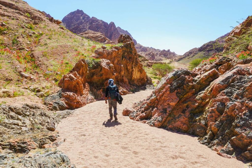 Tail Walking: The Secret to Weight Loss and Hiking Bliss