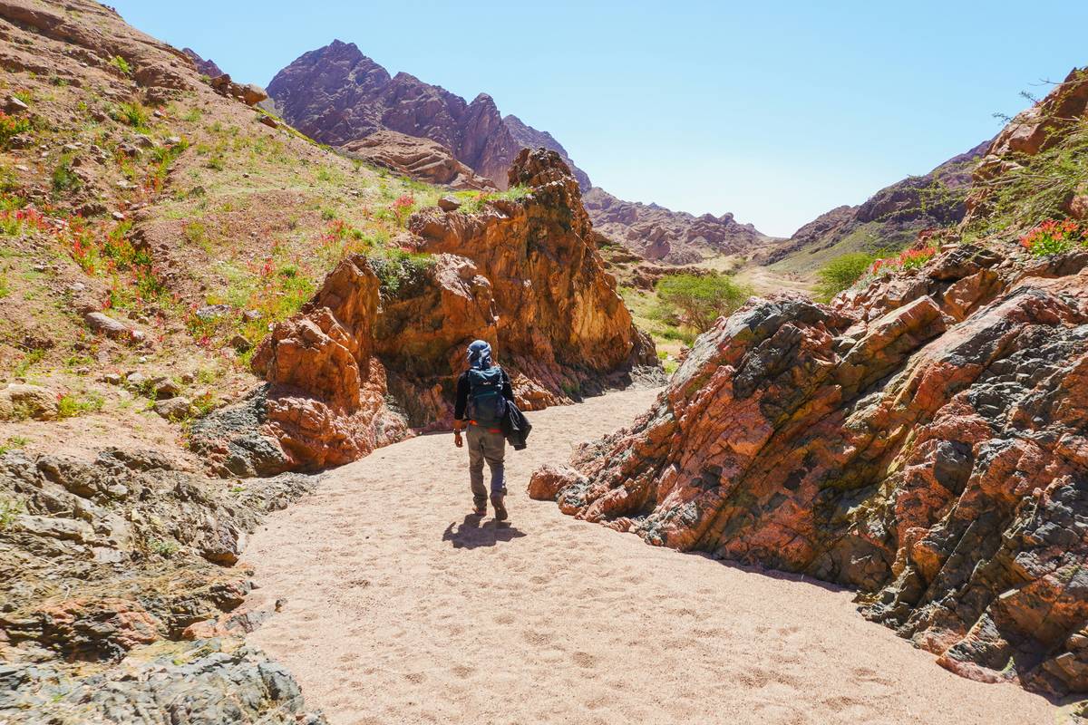 Tail Walking: The Secret to Weight Loss and Hiking Bliss