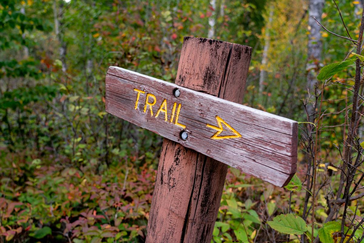 Trail Trek Risk Assessments: How to Hike Your Way to Weight Loss Safely