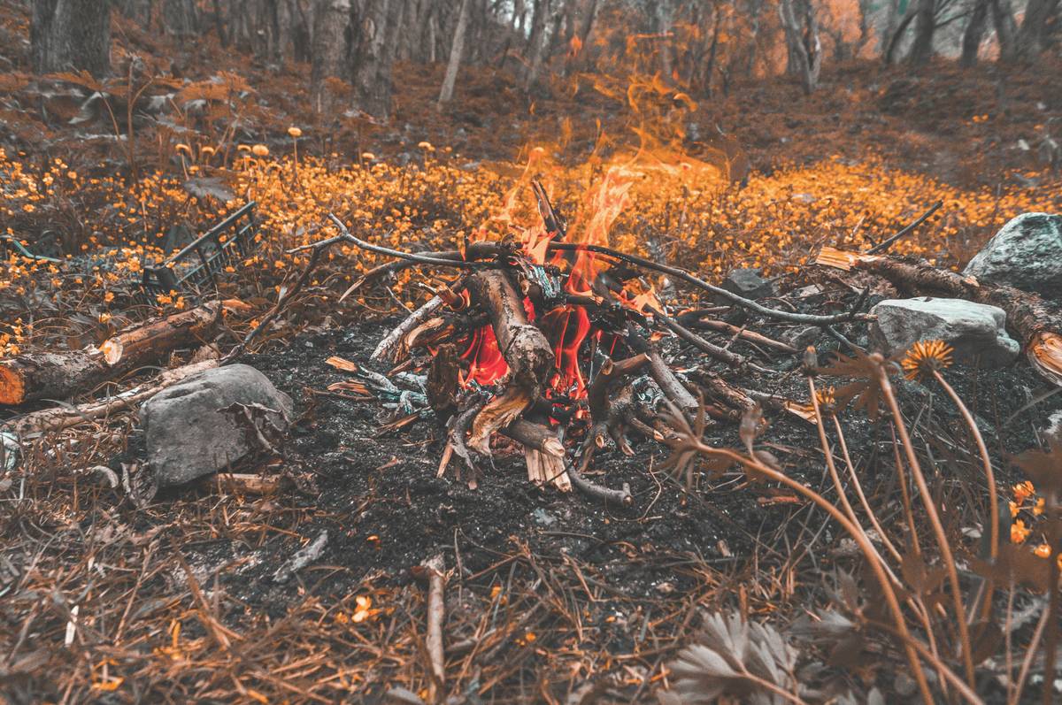 A comparison image showing a person hiking vs. working out at the gym