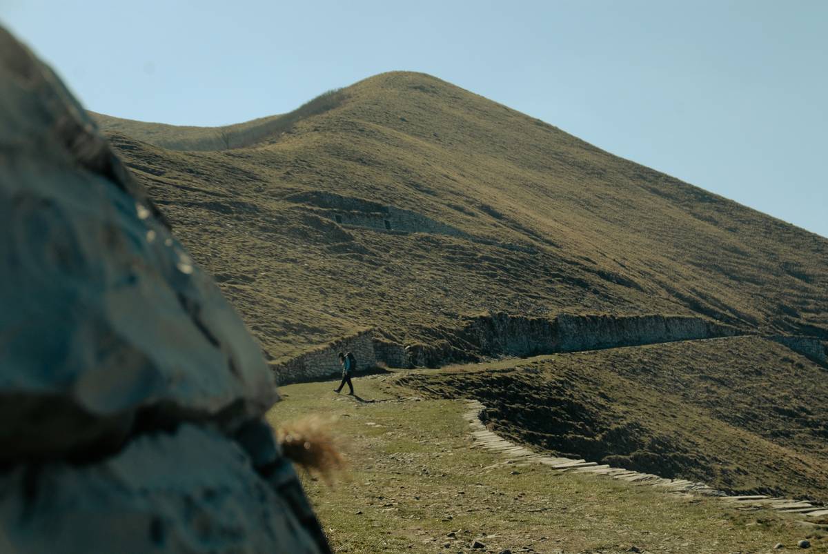 A family enjoying a group hike through autumnal woods.