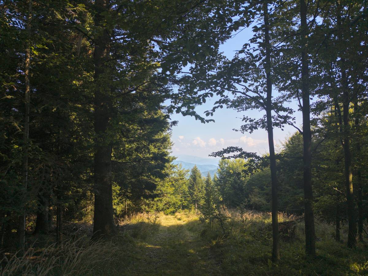 A person packing a backpack with water bottles, snacks, and sunscreen.