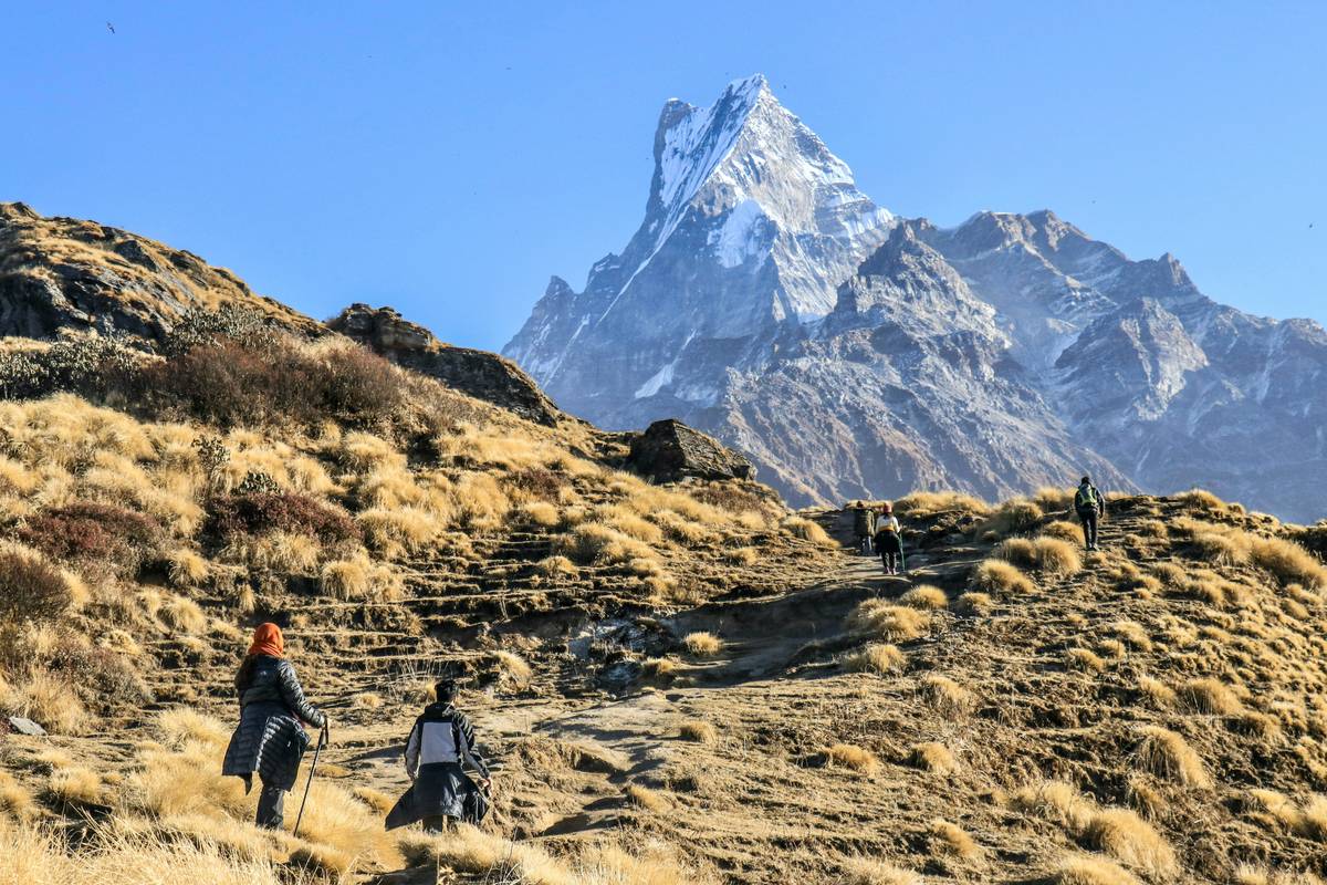 Before-and-after photo comparison of someone standing near a forest trail after significant weight loss.