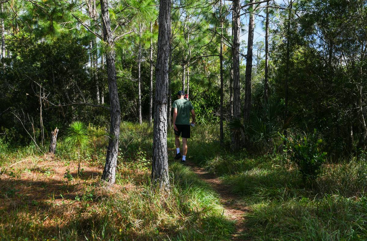 Before and after transformation photo of someone who embraced eco walk fitness