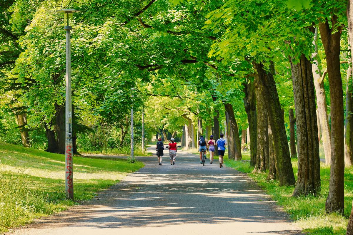 Discover the Power of Eco Walk Fitness: Hiking for Weight Loss