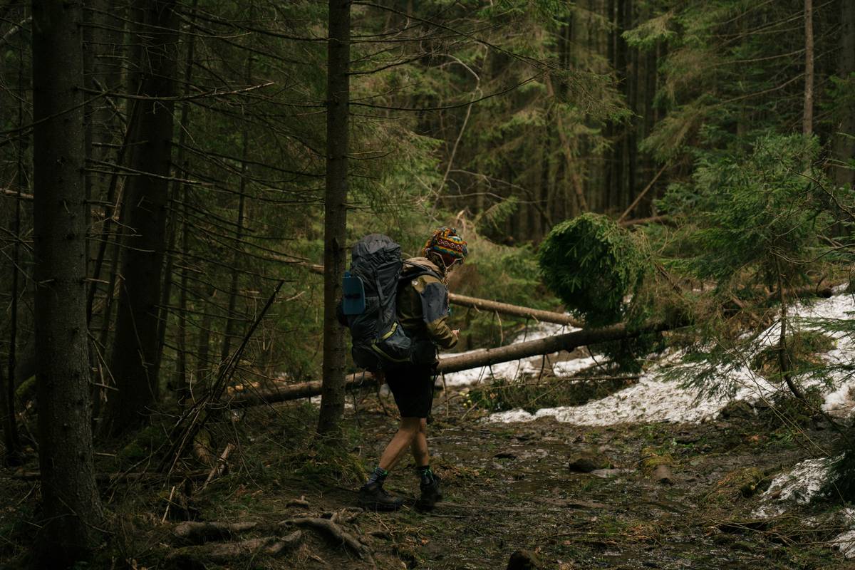 Forest Trek Slim: How Hiking Can Transform Your Weight Loss Journey