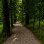Green Walk Loss: How Hiking Can Transform Your Weight Loss Journey