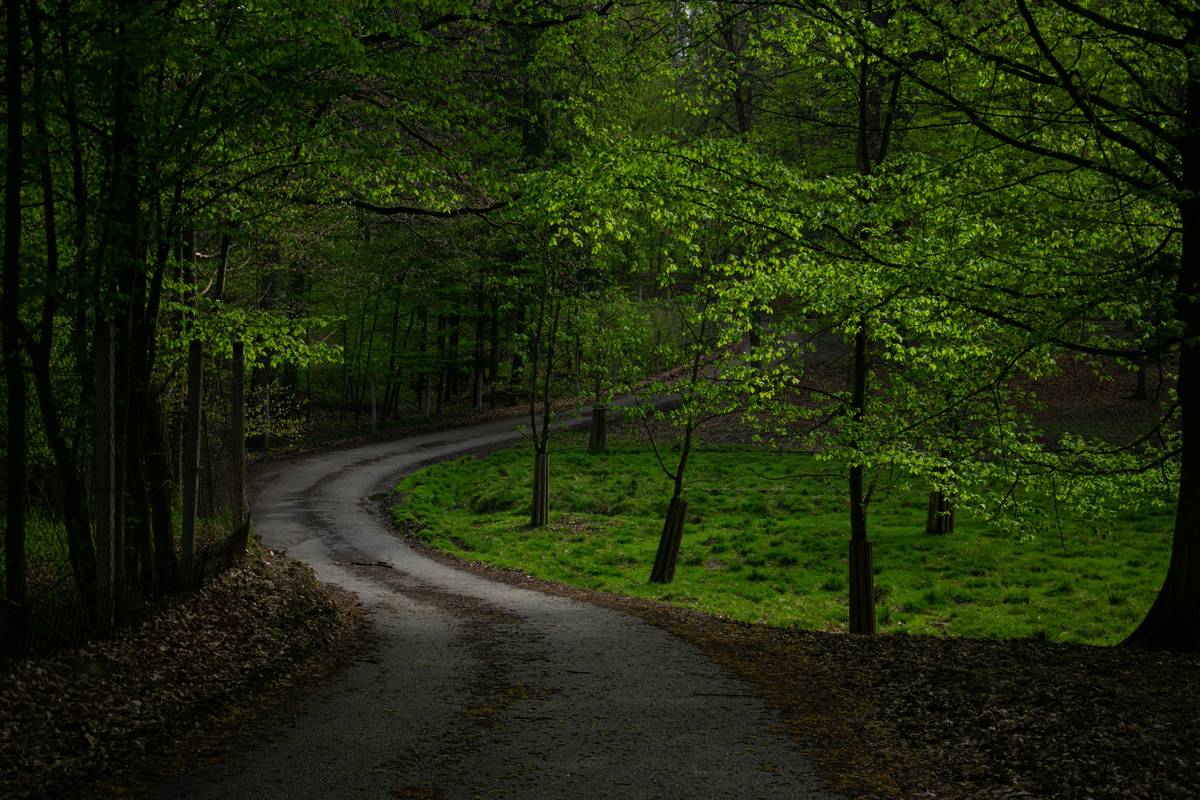 Hiking boots alongside essentials like water bottles and snacks.