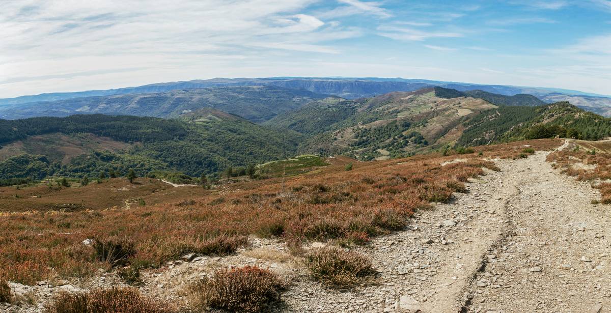 Hiking essentials including water bottles, snacks, and comfy shoes