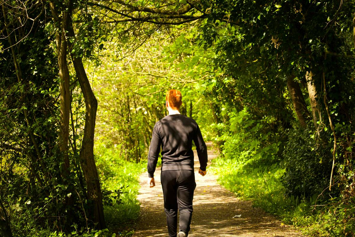 Person hiking along a scenic forest trail