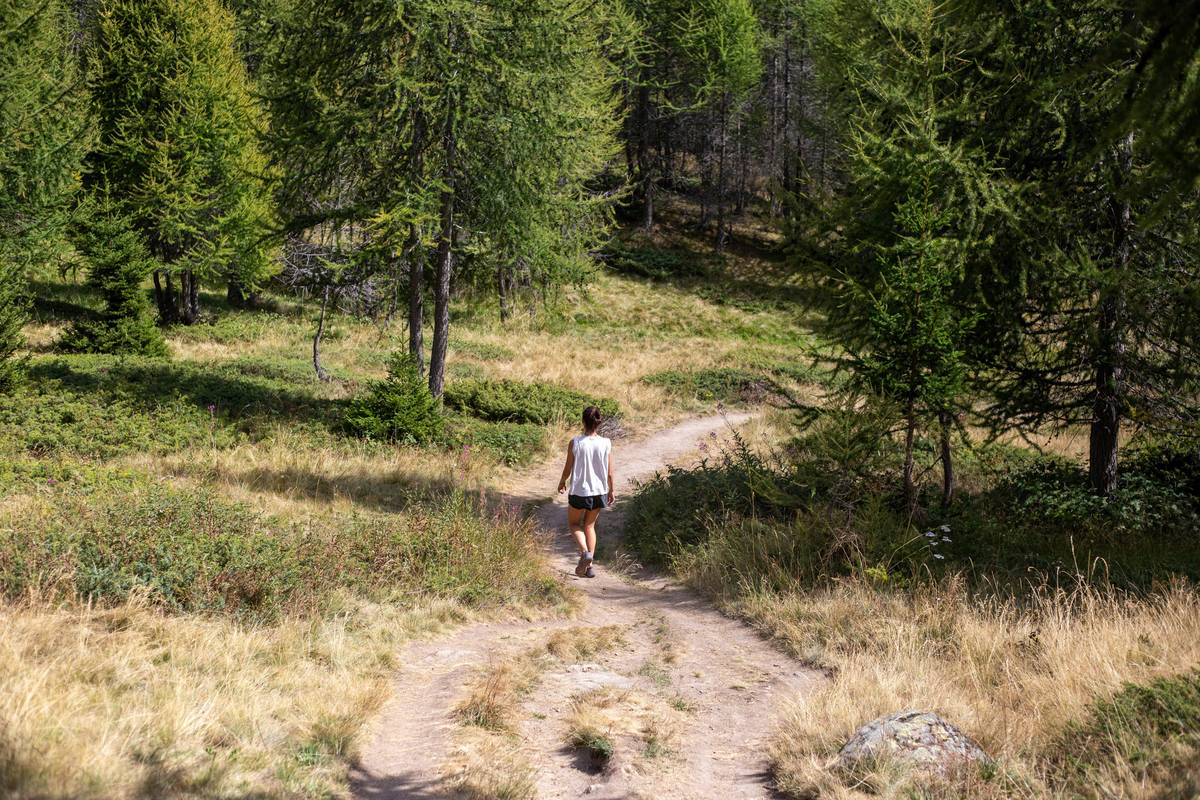 Person hiking through a serene forest trail