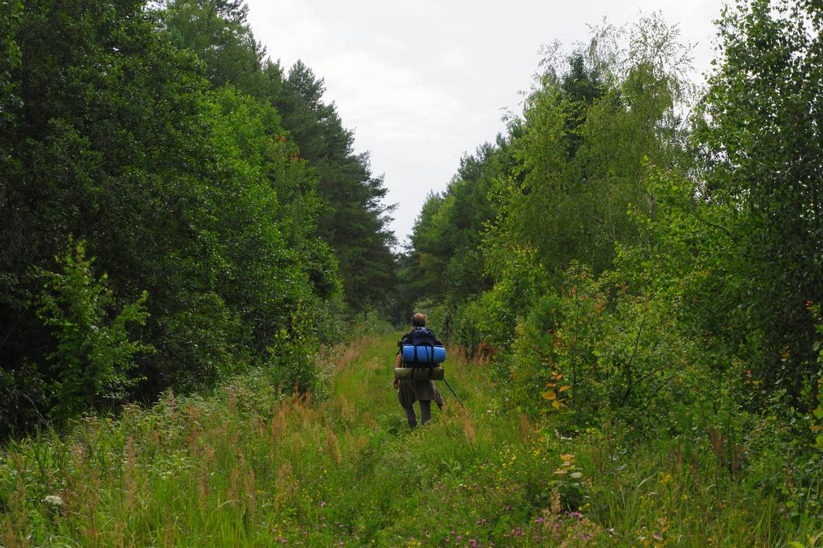 Person hiking uphill in lush green forest