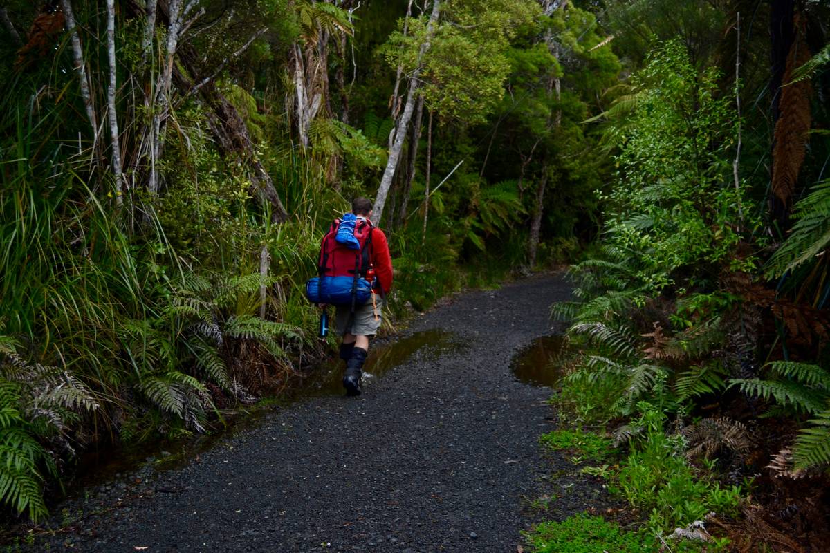 Person holding outdoor trail torch on dimly lit forest path