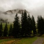 Serene Hike Slim: How to Shed Pounds and Boost Wellness on the Trails