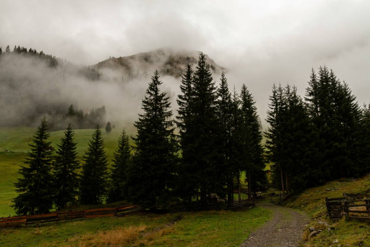 Serene Hike Slim: How to Shed Pounds and Boost Wellness on the Trails