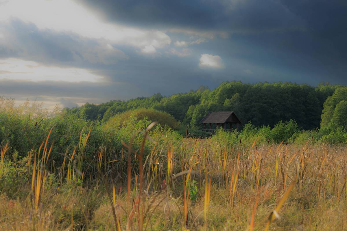 Why Scenic Walk Sheds Are the Secret Sauce for Hiking Weight Loss Success