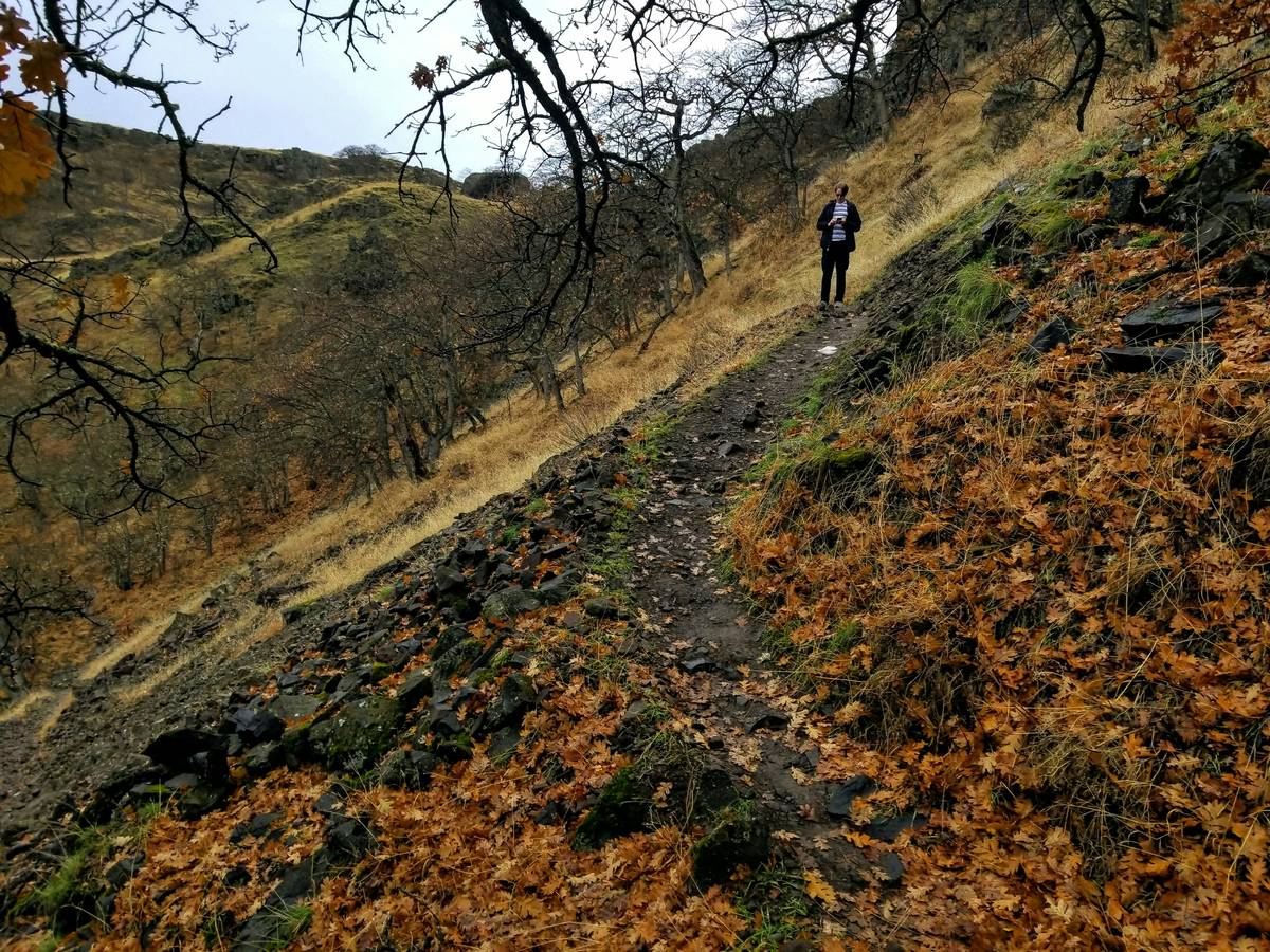A person hiking uphill surrounded by greenery.