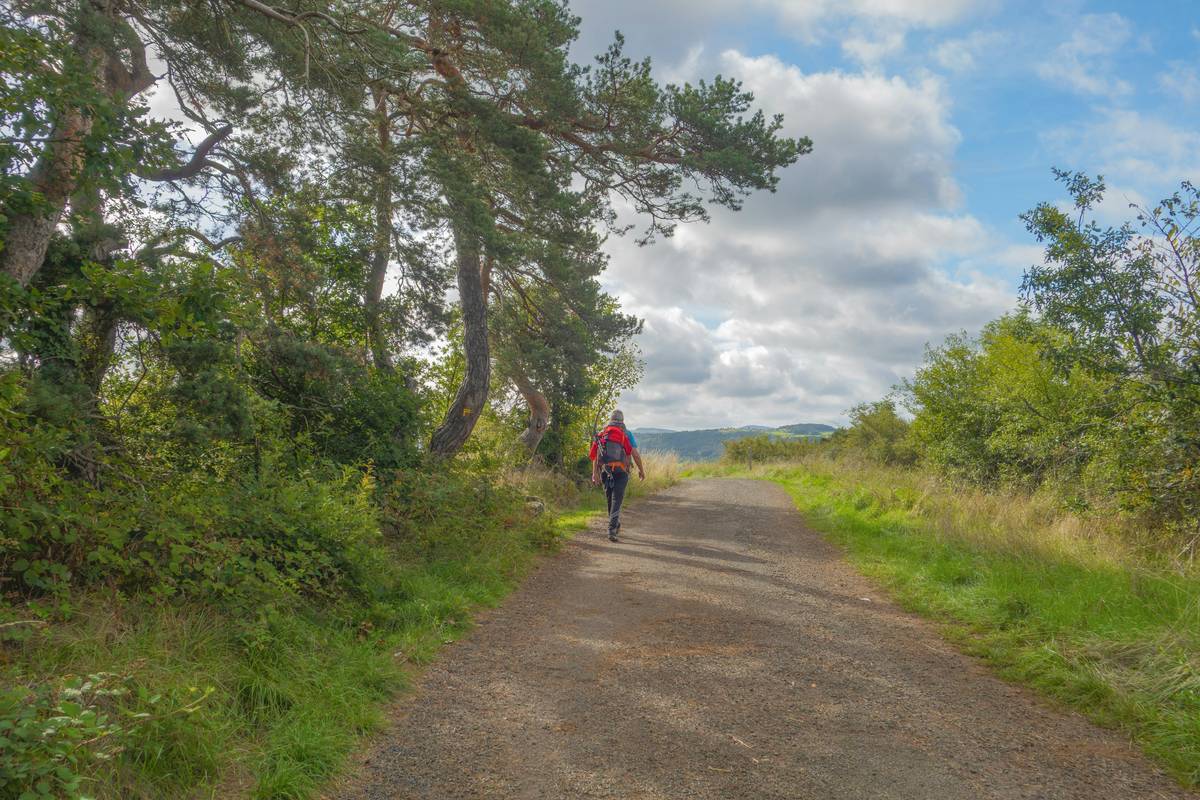 Calm Hike Fitness: How to Shed Pounds While Enjoying Nature's Serenity