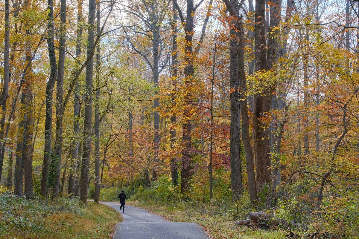 How to Crush Your Fat Hike Session: The Ultimate Guide to Losing Weight While Hiking