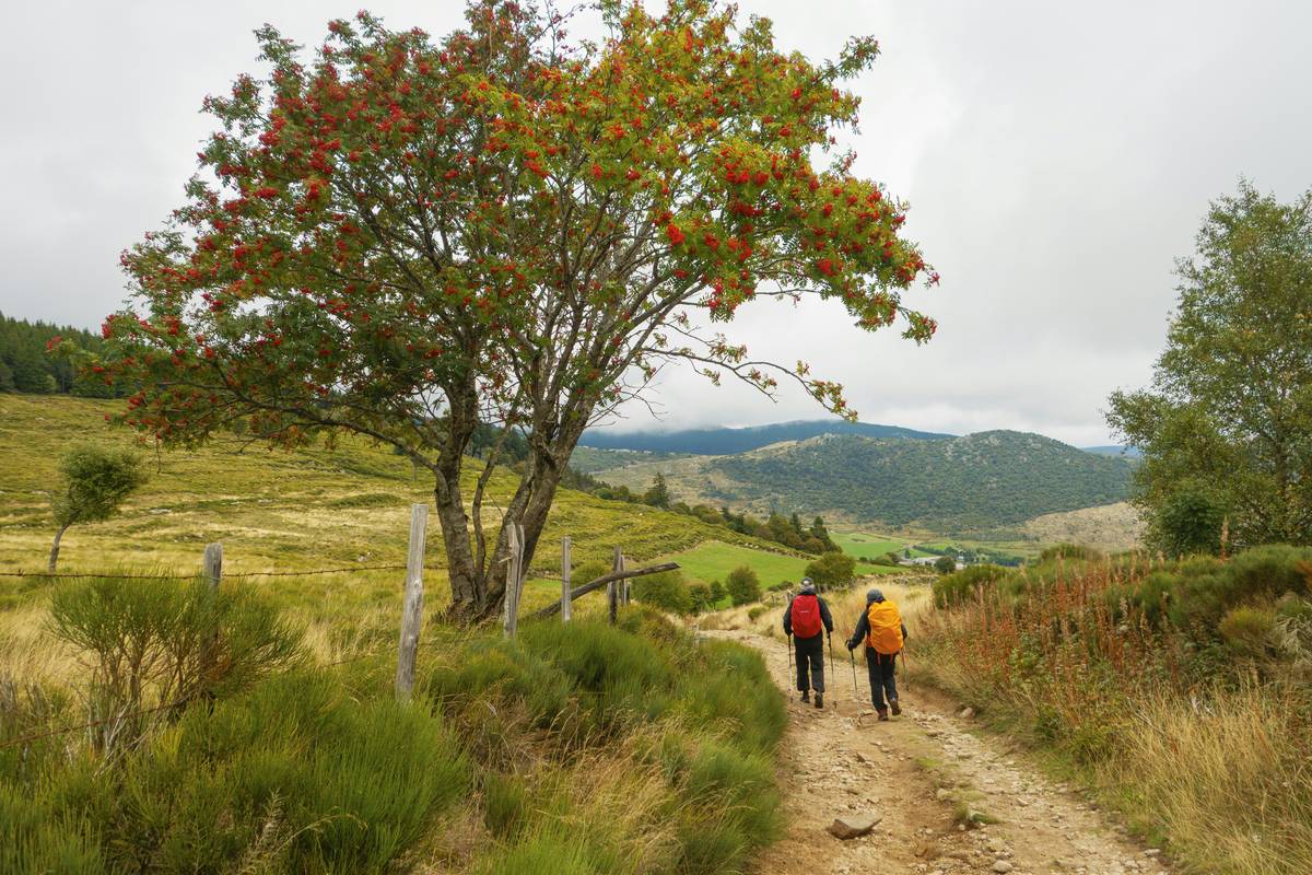 Trek Hill Health: How Hiking Can Transform Your Weight Loss Journey