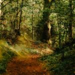 Trek Ridge Burn: How Hiking Can Transform Your Weight Loss Journey