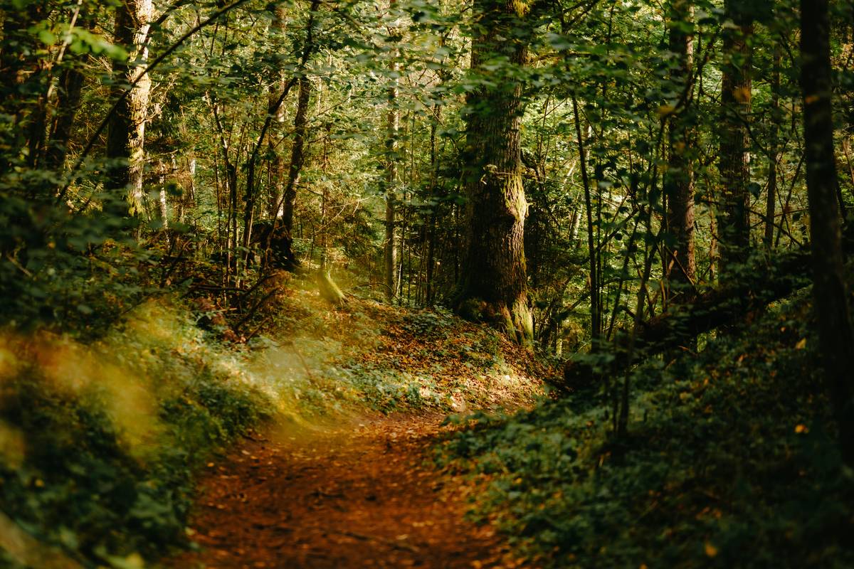 Trek Ridge Burn: How Hiking Can Transform Your Weight Loss Journey