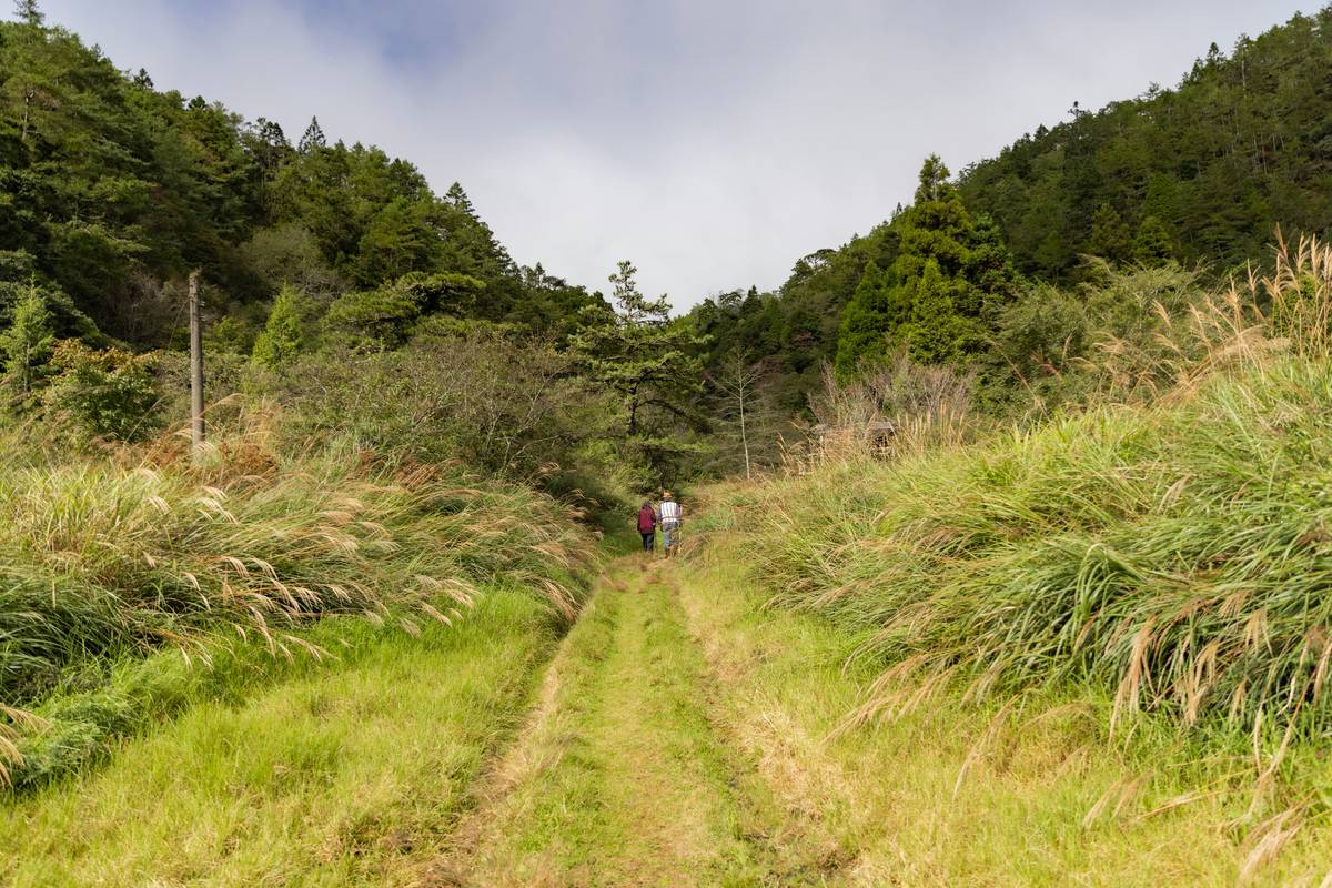 Trek Summit Burn: How Hiking Can Skyrocket Your Weight Loss Goals