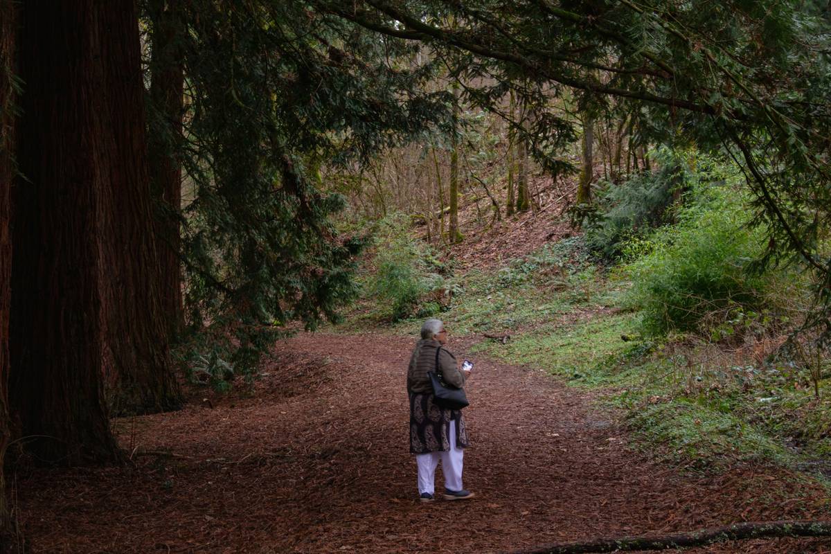 Woodland Stroll Fitness: How Hiking Can Transform Your Weight Loss Journey