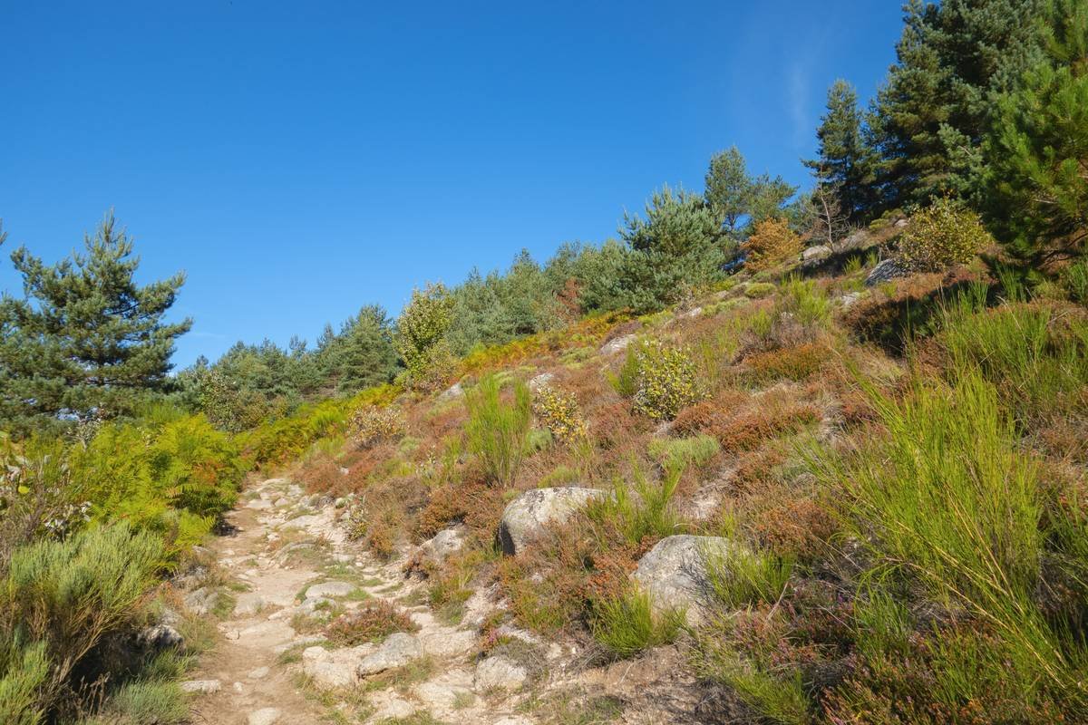 A person wearing a backpack standing near a mountain ridge at sunset