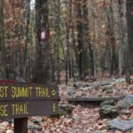 Hiking for Weight Loss: How Path Summit Fitness Can Transform Your Journey