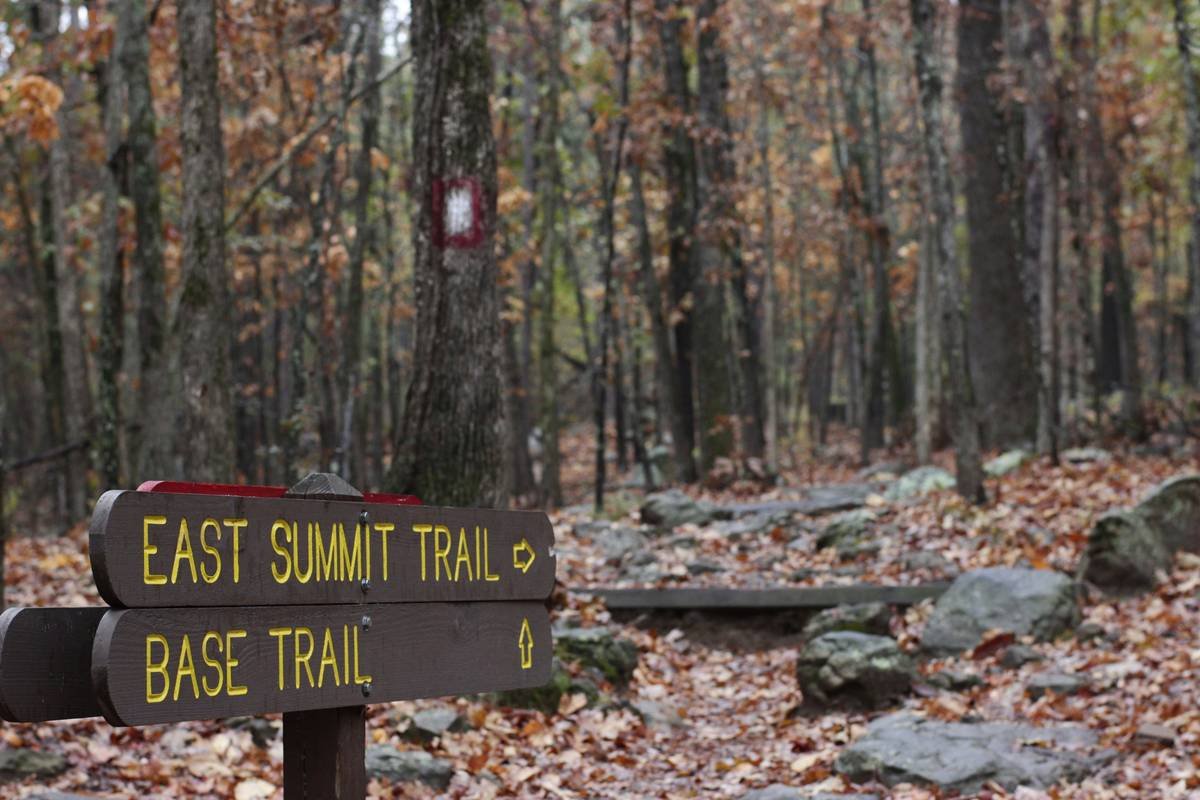 Hiking for Weight Loss: How Path Summit Fitness Can Transform Your Journey