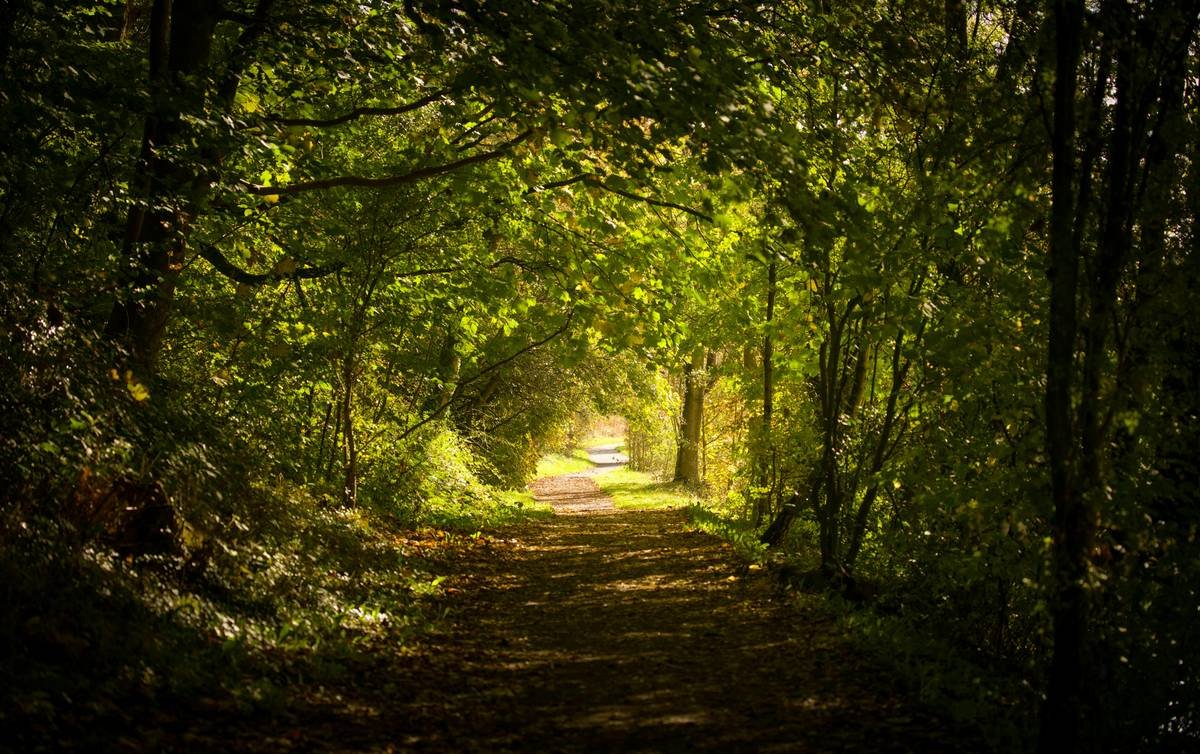 Hiking Your Way to Wellness: Unlock Trail Valley Health for Weight Loss Success