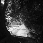 Lose Weight and Find Serenity: How Meadow Stroll Loss Can Transform Your Health