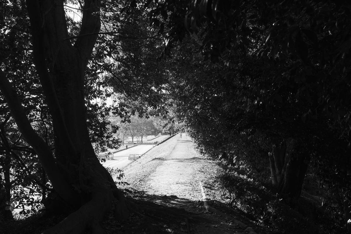 Lose Weight and Find Serenity: How Meadow Stroll Loss Can Transform Your Health