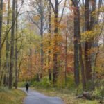 Summit Path Loss: How Hiking Can Transform Your Weight Loss Journey