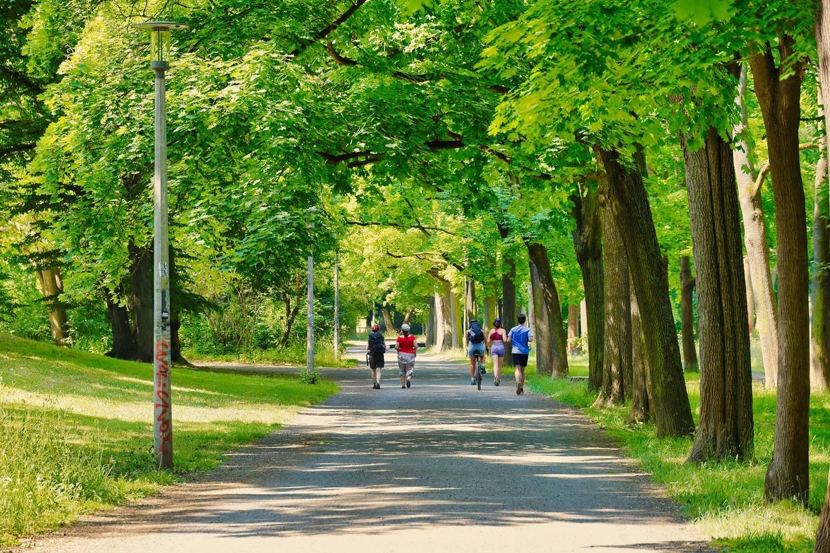Bar chart comparing average calories burned per hour: treadmill walking (314), flat trail hiking (430), uphill hiking with pack (680)