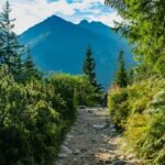 How a “Slim Uphill Trek” Transformed My Weight Loss Journey (And Can Transform Yours Too)