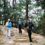 How Hiking Transforms Your Body: The Truth About Burn Trail Health