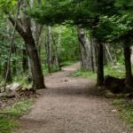 How the Burn Session Trail Can Torch Calories—Without the Gym Dread