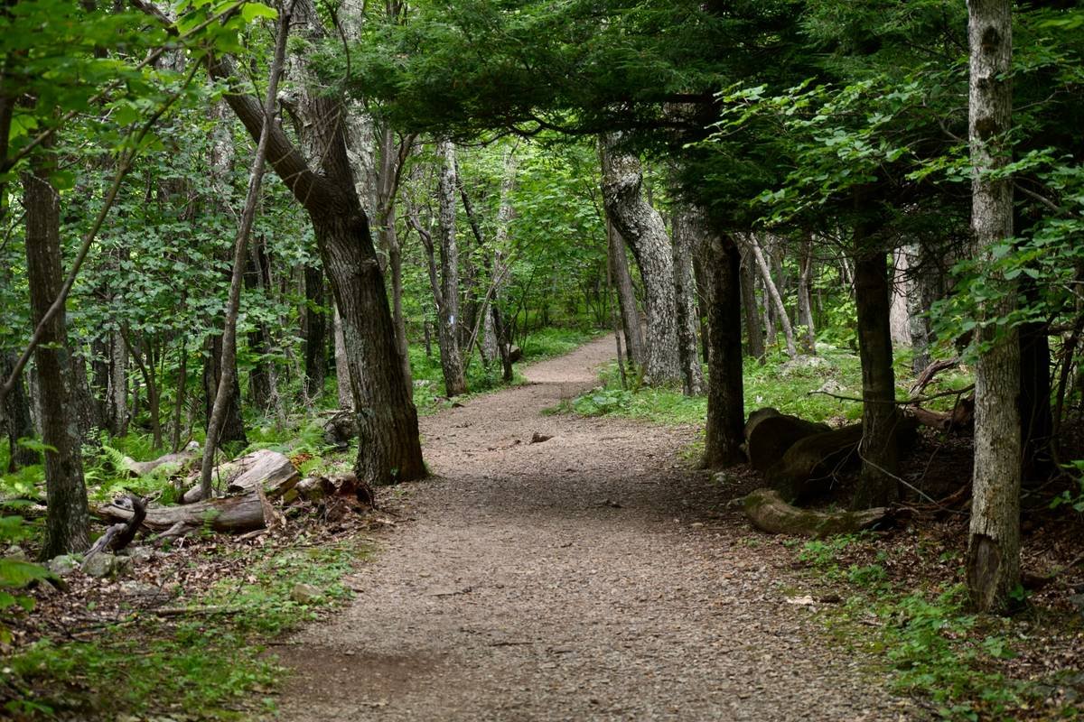 How the Burn Session Trail Can Torch Calories—Without the Gym Dread