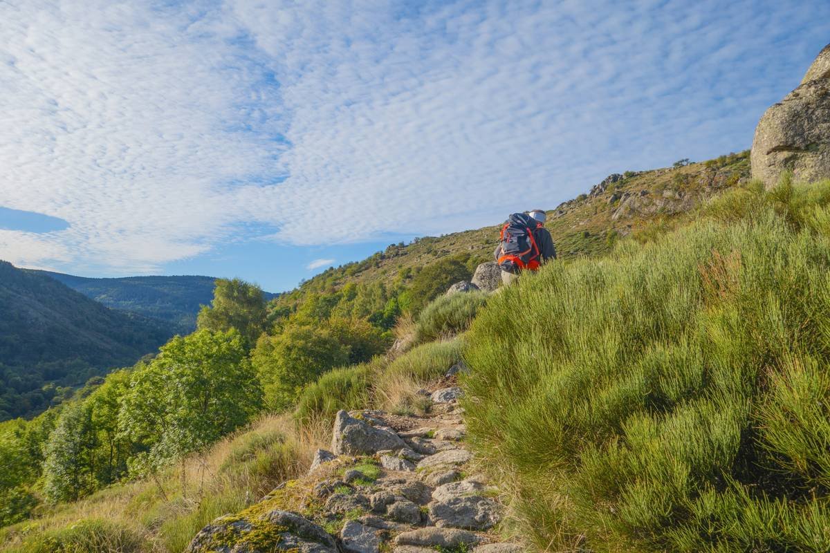 Infographic comparing calorie burn of hiking vs treadmill walking vs cycling, showing hiking burns 430-550 kcal/hr for 160-lb person