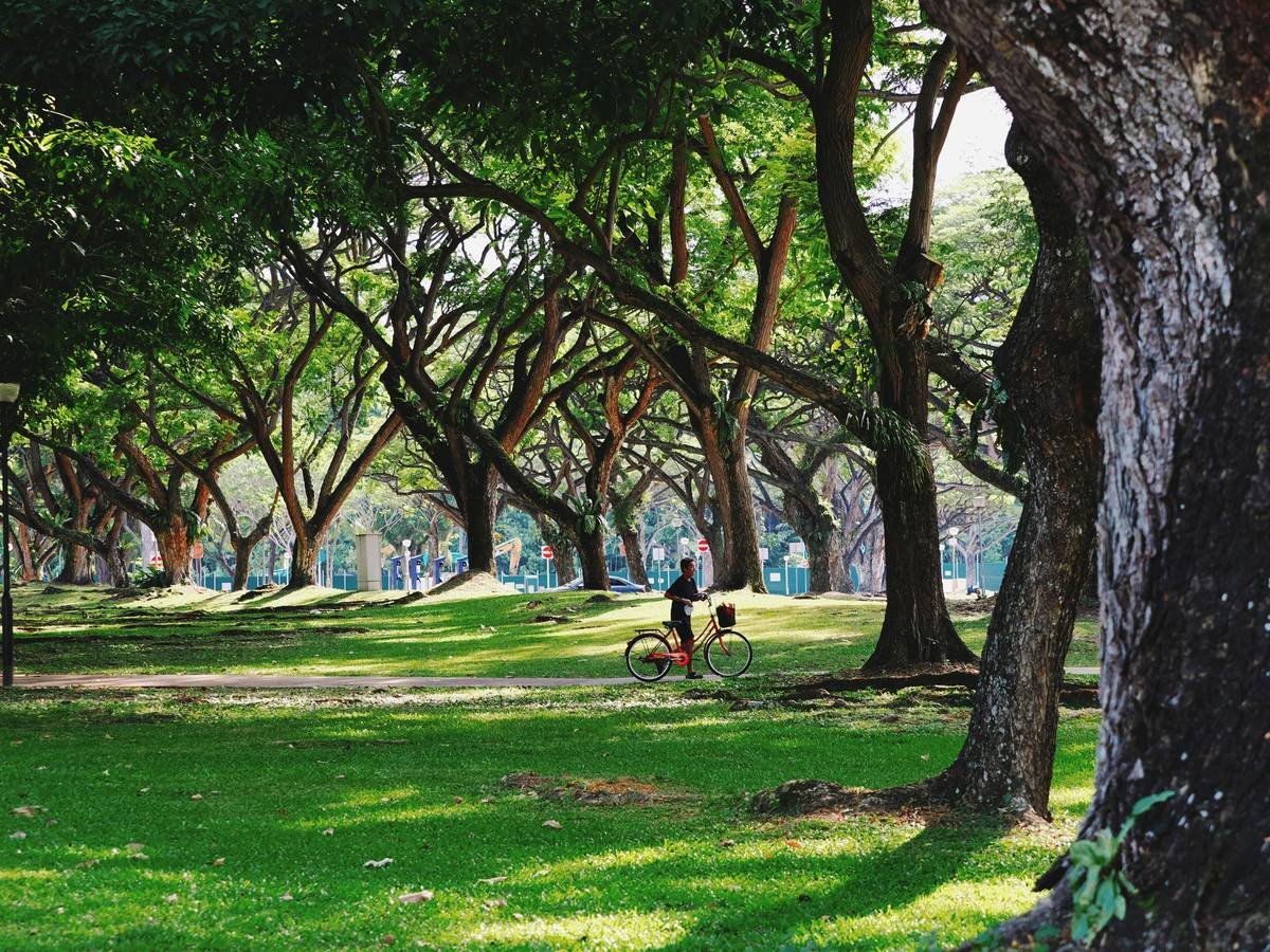 Infographic comparing calorie burn: treadmill vs. flat trail vs. elevated burn session trail. Shows 320 vs. 410 vs. 590 calories for 160-lb person over 60 minutes.