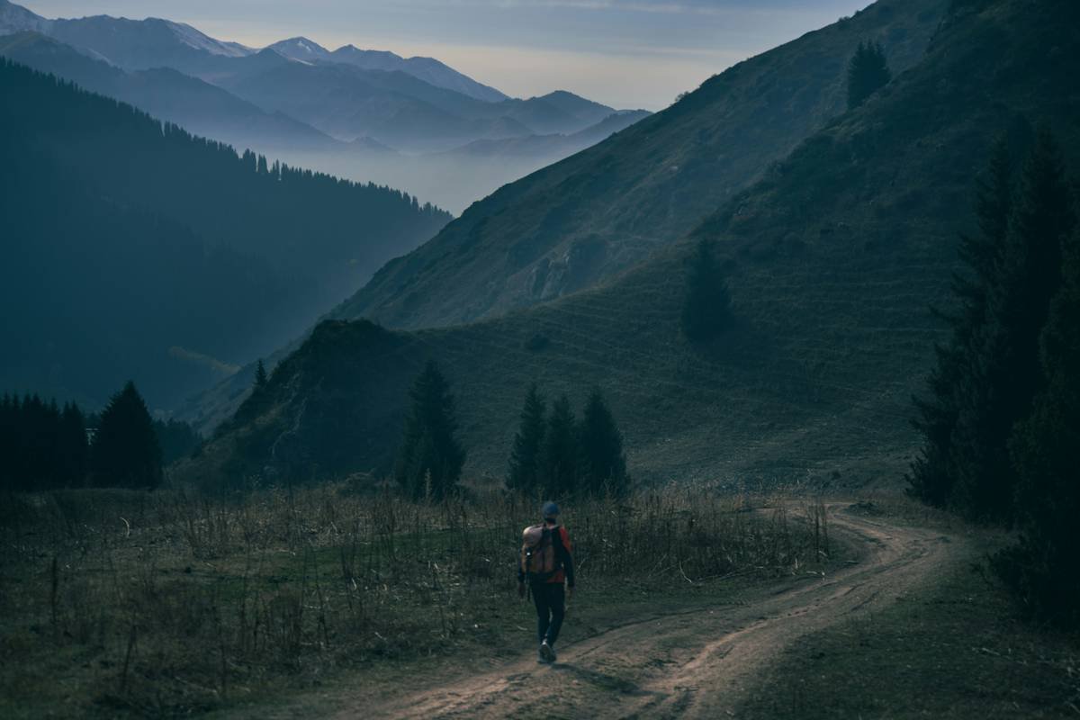 Infographic comparing calorie burn: treadmill vs. trail hiking with elevation. Hiking shows 520 cal/hr vs treadmill's 380 cal/hr.